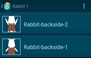 rabbit_looks